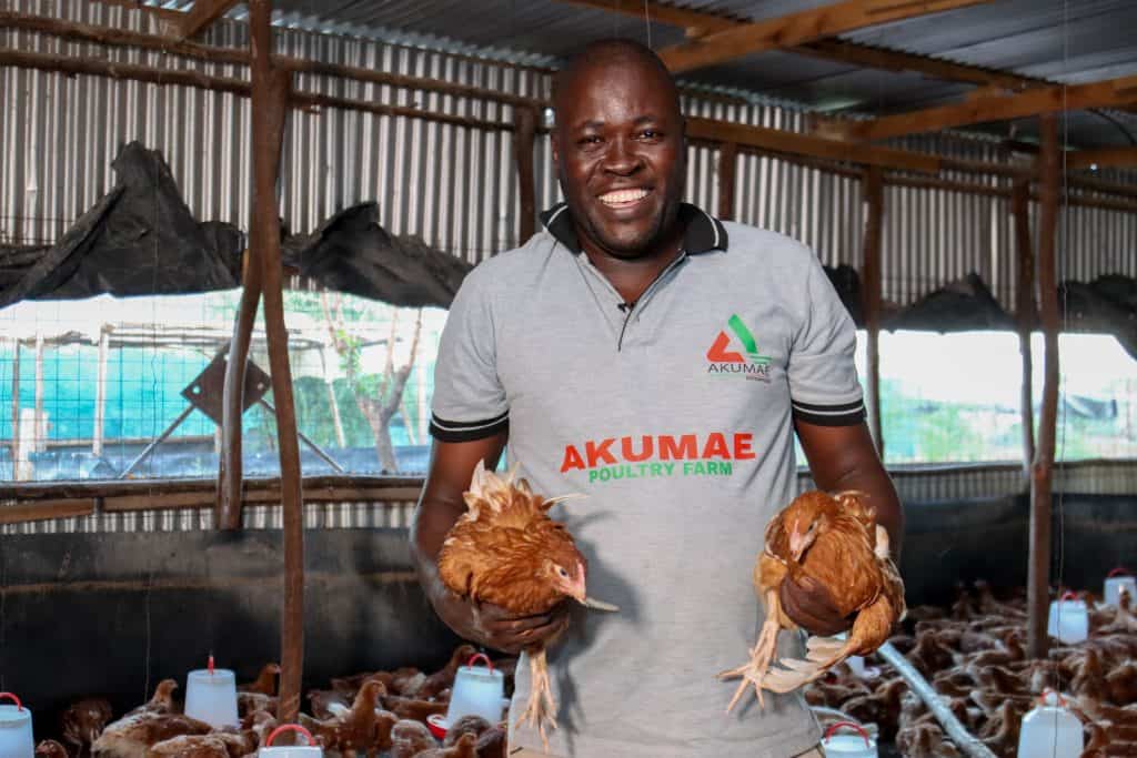 Akumae Poultry Farm