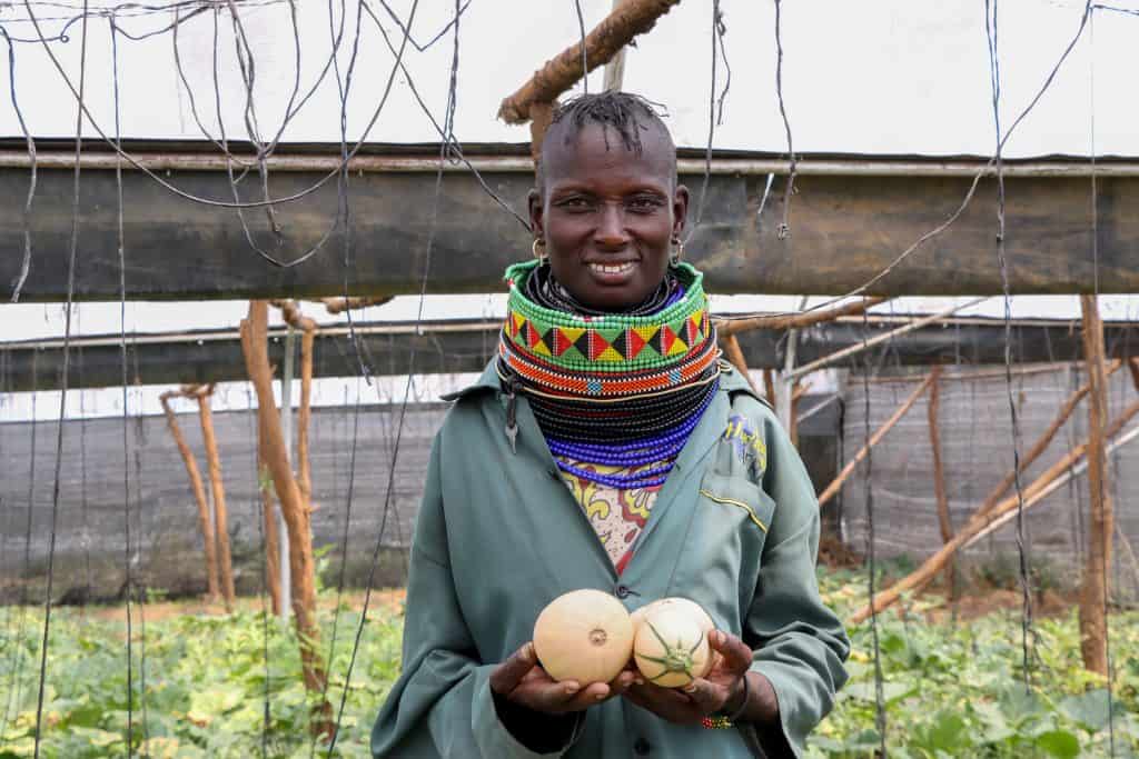 From arid land and to a breadbasket